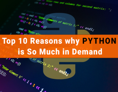 python demand reasons much why so programming