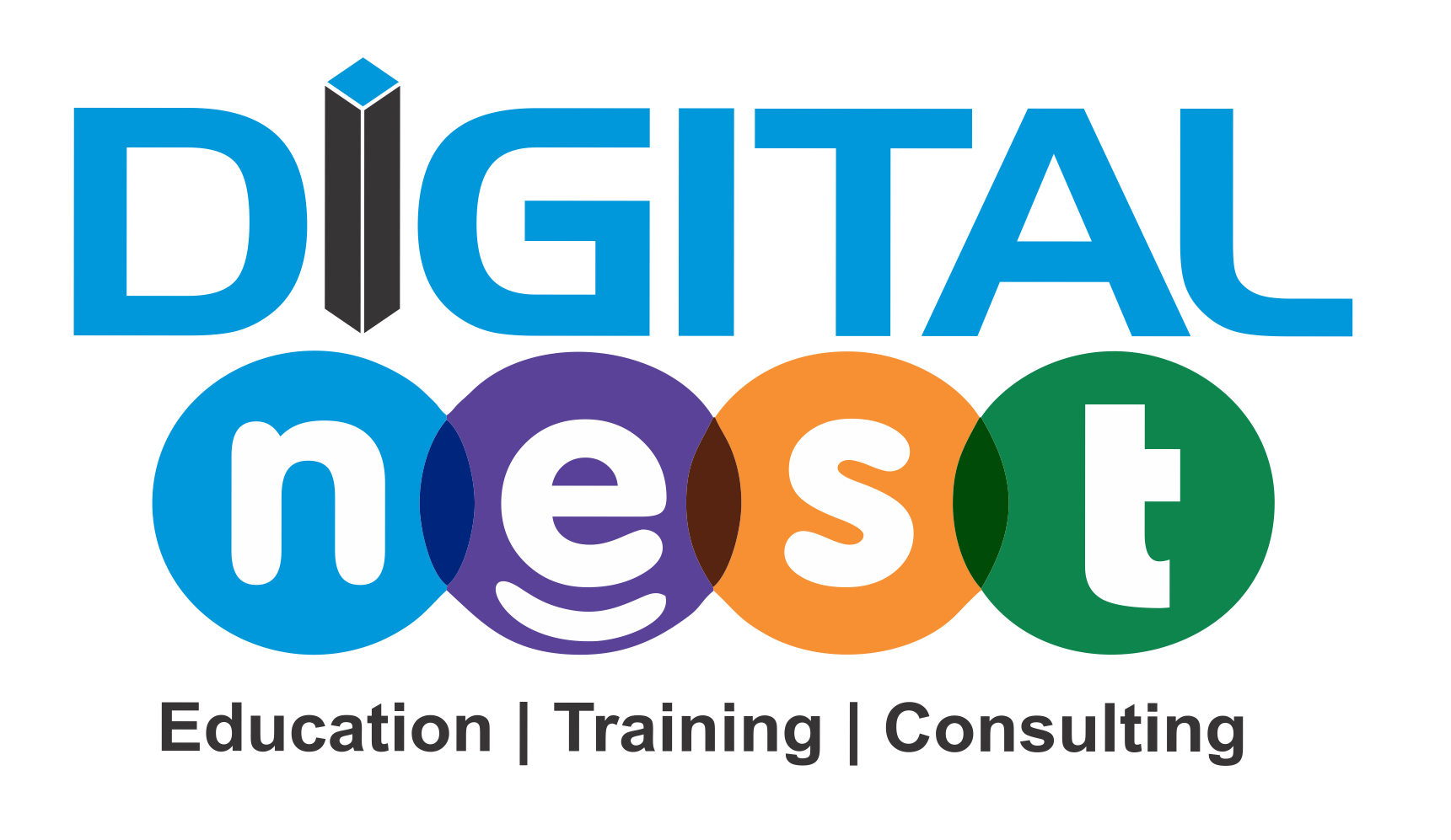 Digital Marketing courses in Hardoi- Digital nest logo